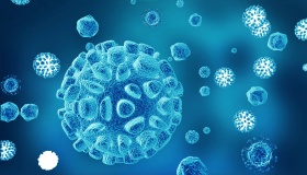 慢病毒整合穩(wěn)定細胞株