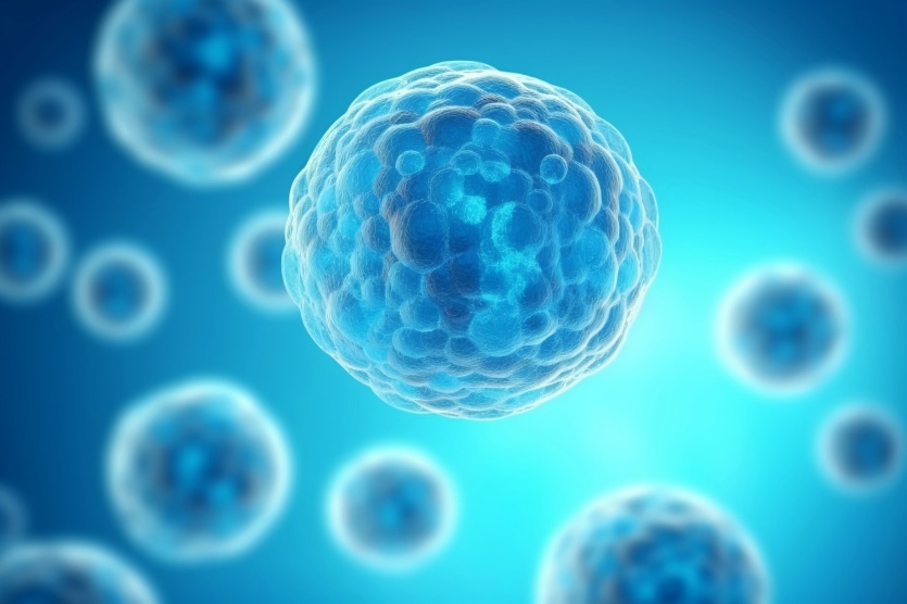 免疫治療靶點模型構(gòu)建